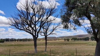 Sydney to Canberra, AUSTRALIA.