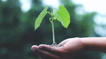 ETH 2.0 - Start Staking with 10% more ETH than you are holding right now