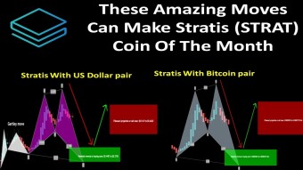 These Amazing Moves Can Make Stratis (STRAT) Coin Of The Month