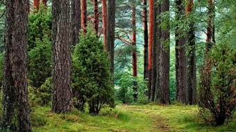 My second home(the great outdoors)