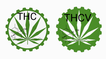 WEED Cash Five for Friday update