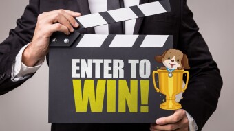 4 ways to earn up to $30 every week with CryptoSorted