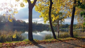 Autumn morning, summer afternoon. Beautiful autumn views - My Actifit Report Card: October 9, 2024
