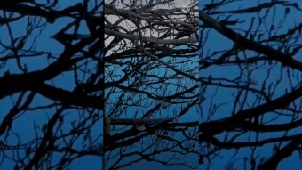 Reflection in water. Meditation