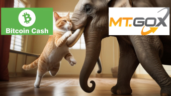 Bitcoin Cash (BCH): Is This the End? My Honest Take About Mt. Gox Repayments Impact