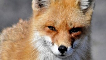 Slow Metamask? 5 Ways to Speed Up Metamask
