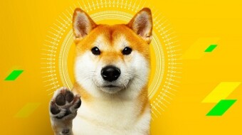 FOMO Is Increasing Demand for Meme Cryptocurrencies