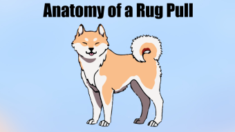 Anatomy of a Rug Pull - How to Protect Yourself from Scams during Altseason