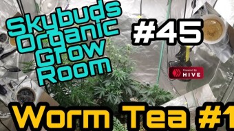 Skybuds Organic Grow Room : 5x5 #45 - Making Worm tea Part 1