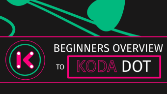 Beginners Overview to Kodadot