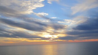 What is Being Freed from the Self?