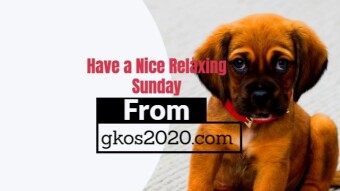 Have a Nice Relaxing Sunday from gkos2020.com
