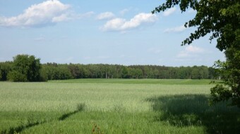 Another day with long walks in the forest - My Actifit Report Card: May 4 2024
