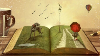 School of the life - Escuela de la vida
