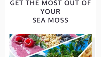 Sea Moss gets a New Home