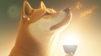 BONK, DOGE, SHIBA INU... Why Do We Need Memecoins?