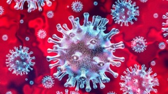 Wuhan coronavirus. Airport controls, travel warnings. Is there anything to be afraid of? How much can this virus cost us?