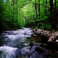 Mother Nature