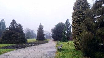 A spring day, although a bit like November