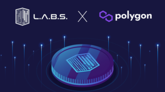 LABS GROUP (NFT REAL STATE PROYECTS)