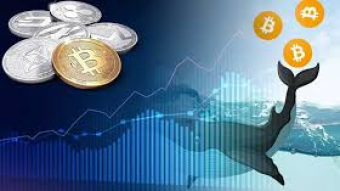 Where is 50,000 BITCOIN Now?