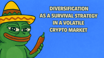 Diversification as a Survival Strategy in a Volatile Crypto Market