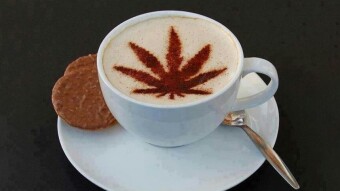 Nutritional benefits of hemp seeds Part 2