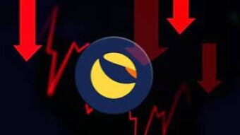 Can We Trust Algorithmic Stablecoins? The Collapse of LUNA And UST