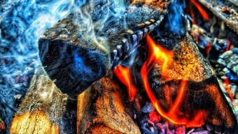 Crypto 2024: A Bull Market Full of Fear
