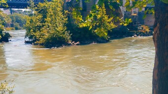 [ITA/ENG] Come un fiume / Like a river