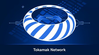 Tokamak Network DAO Governance platform