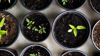 3 staking products I've been using