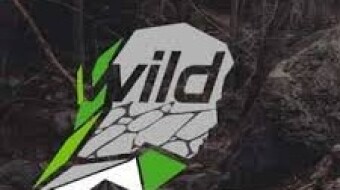 Wild race series "wild"
