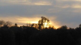 A Very Pleasant Autumn October - My Actifit Report Card: October 23, 2024