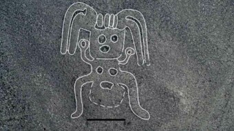 Sensation in the Nazca desert. New drawings have been discovered through artificial intelligence
