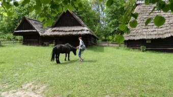 Monday walks around open-air museum - My Actifit Report Card: May 22 2023