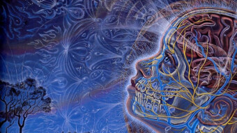 Yen Freefall, Now We See How Well Dressed The Emperors Are