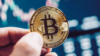 Investing in Cryptocurrency and Gardening