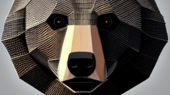Do not fear the bear