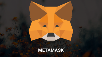 Metamask Issues Scam Warning - Address Poisoning