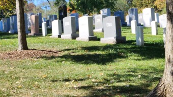 Arlington National Cemetery 7 of 26