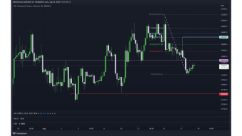 BTC Daily Technical Analysis 18-08-2022: Short Squeeze to $25500 before Long Squeeze to $22610