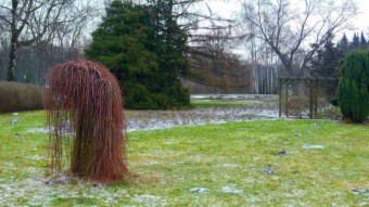 Light frost and powdery snow did not interfere with a nice walk - My Actifit Report Card: January 27 2023