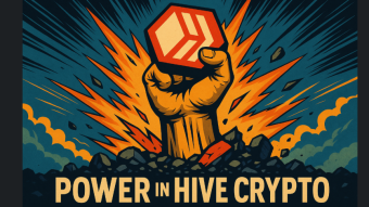 The Silent Game of Power: How Stakeholders Shape the Platform