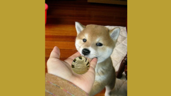 Dogecoin and Exchanges 2021