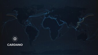 Single Pool Alliance: What it is and Why it Matters