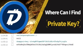 How To Get Wallet Private Key Of Digibyte Core Wallet | Wallet Tutorial