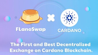 FlanoSwap, First Decentralized Exchange & AMM On Cardano (ADA) Blockchain! - Now Having Airdrop Of Native Token FLAN!