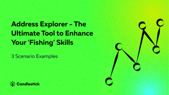 🍻 Address Explorer – The Ultimate Tool to Enhance Your ‘Fishing’ Skills
