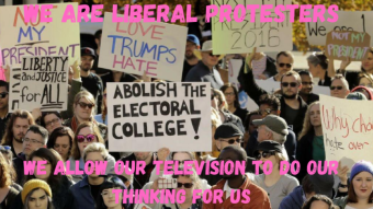 Liberal Protesters